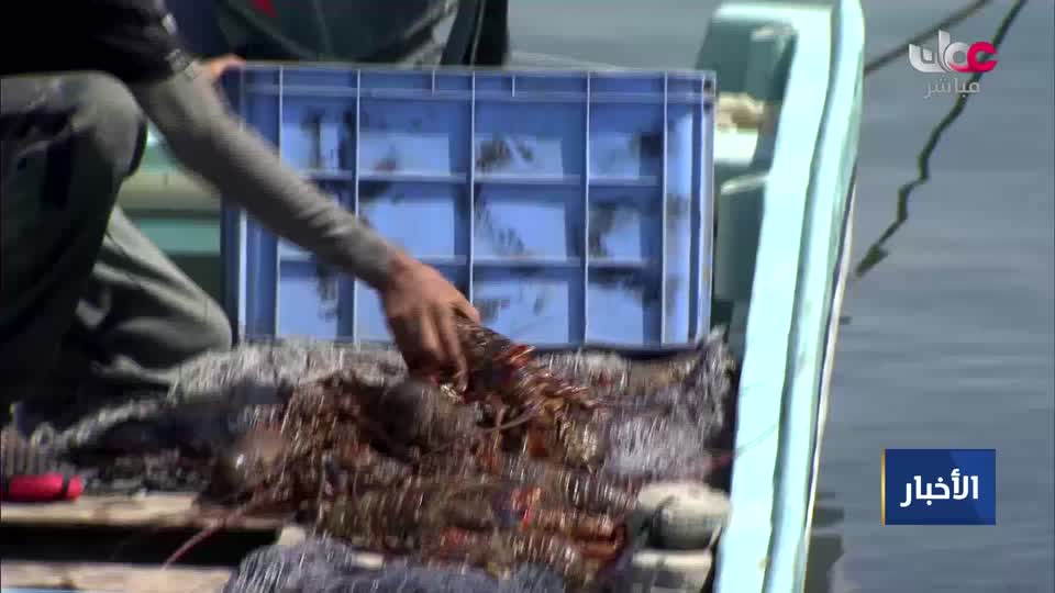 أخبار عمان