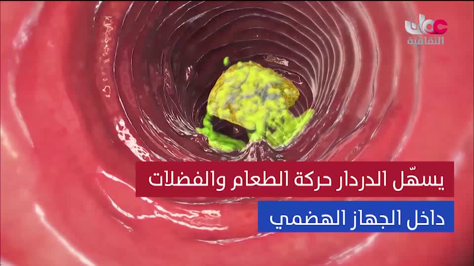 البرنامج الثقافي - عالم الأشجار