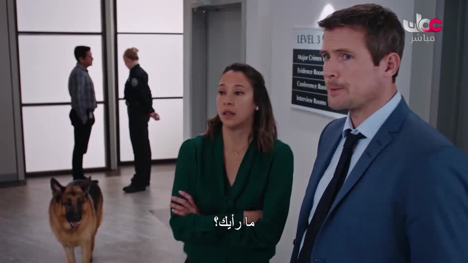 المسلسل الاجنبي