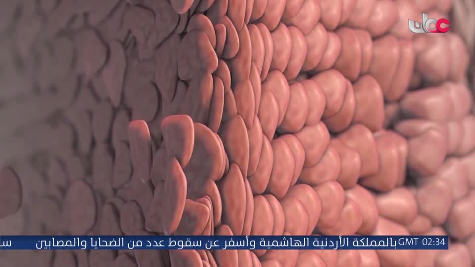 المسلسل المصري - درش - الحلقة 24