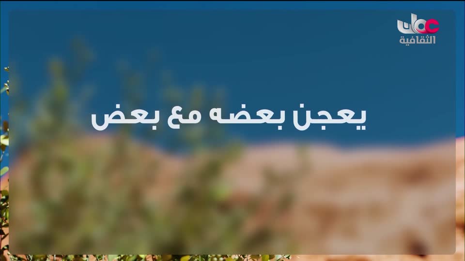 البرنامج الثقافي - أبجديات ثقافية - الحلقة 10