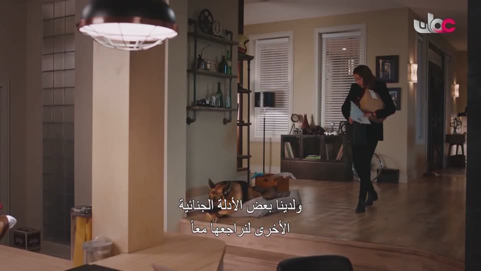 المسلسل الأجنبي Hudson and rex
