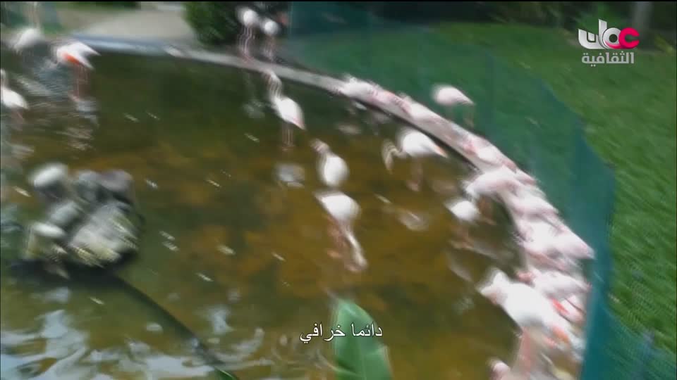 البرنامج الثقافي _ عشاق السفر - الحلقة 11