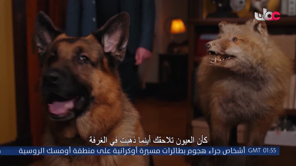 HUDSON AND REX - المسلسل الاجنبي