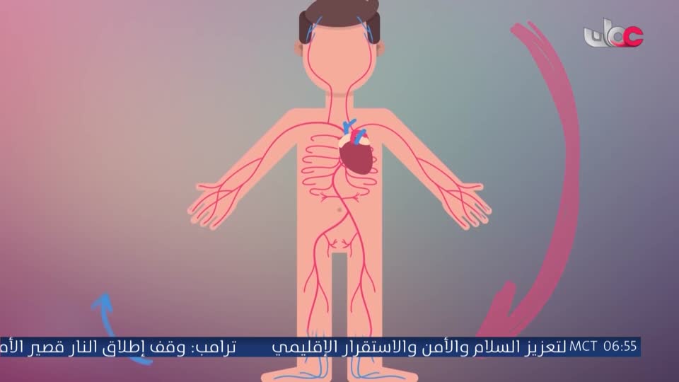 مسلسل كرتوني - نساء حول الأنبياء