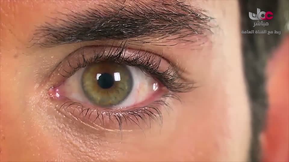 مسلسل كرتوني - نساء حول الأنبياء