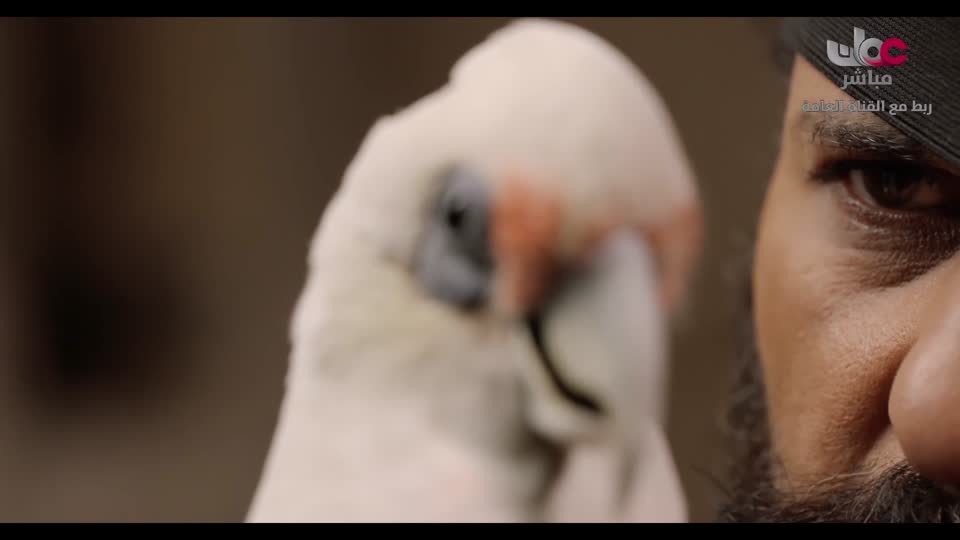 المسلسل المحلي - الوقيد