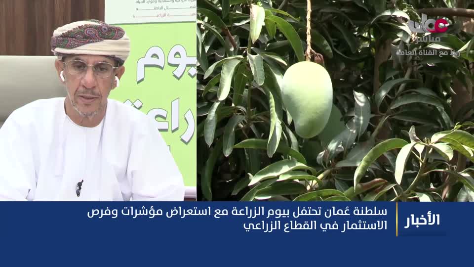 أخبار عمان