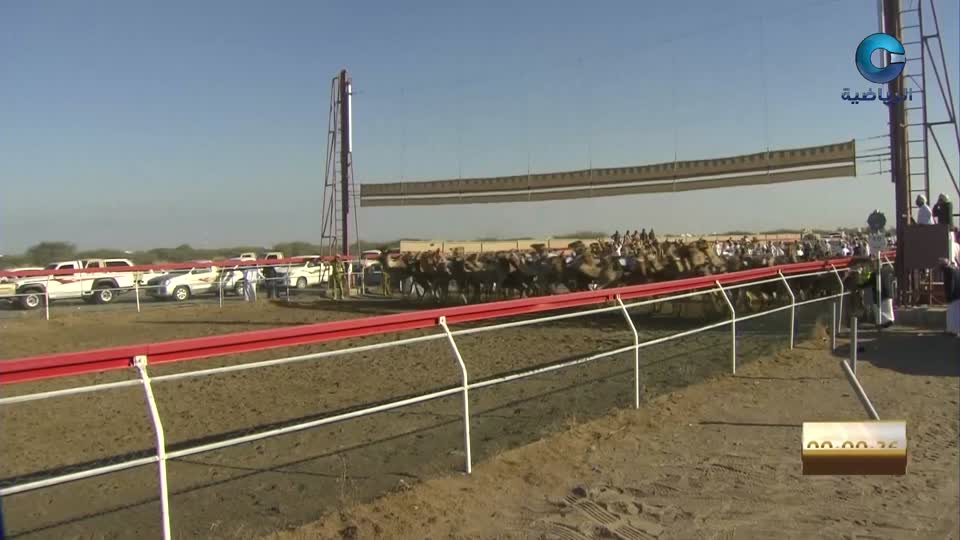 اليوم الثاني ج2 - السباق العام للمهرجان السنوي لسباقات الهجن الاهلية - الفليج 2025