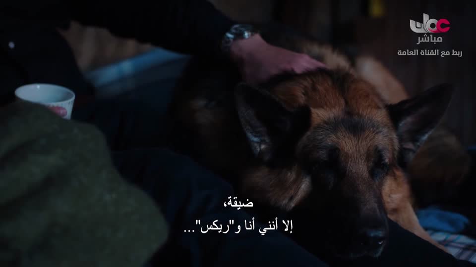 برنامج - اسرار الجسد - الحلقة 3