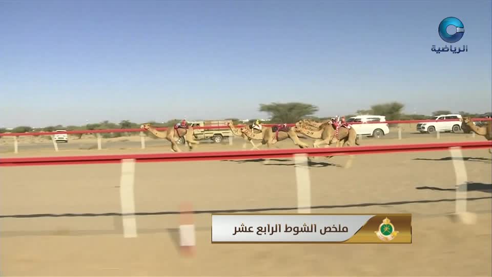 السباق العام للمهرجان السنوي لسباقات الهجن الاهلية - الفليج 2025 - الحلقة 6