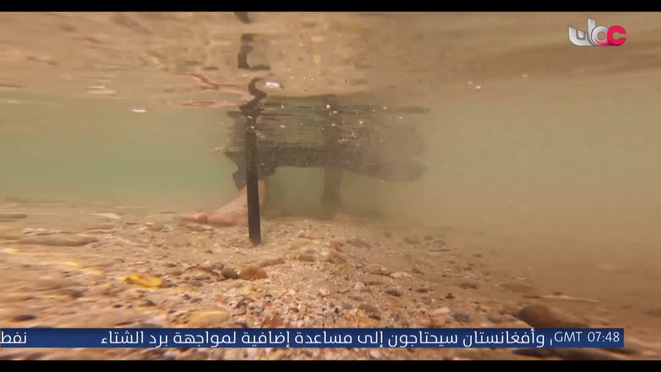 المسلسل المحلي - الوقيد