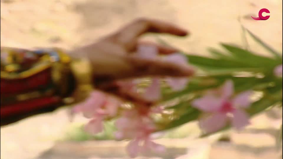 Show details-بلادي - الحلقة 4