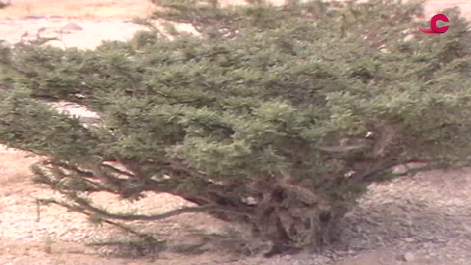 مدينة الاطفال - الحلقة 22