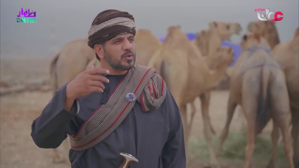 الناس والخريف - الجمعة 1 أغسطس 2025م