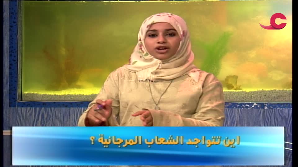 Show details-فوازير الأطفال الرحلة - الحلقة 3
