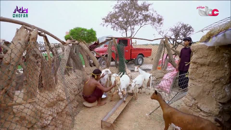 ليالي الخريف - السبت 9 أغسطس 2025م