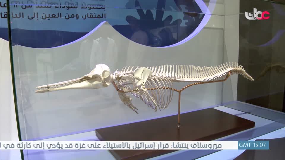 Show details-الأخبار باللغة الإنجليزية - الإثنين 11 أغسطس 2025م