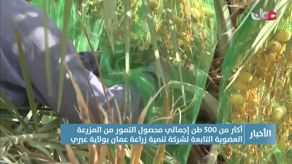 أخبار الخامسة - الأحد 17 أغسطس 2025م
