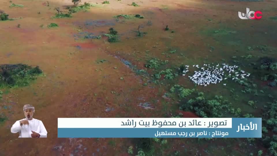 أخبار العاشرة - الإثنين 25 أغسطس 2025م