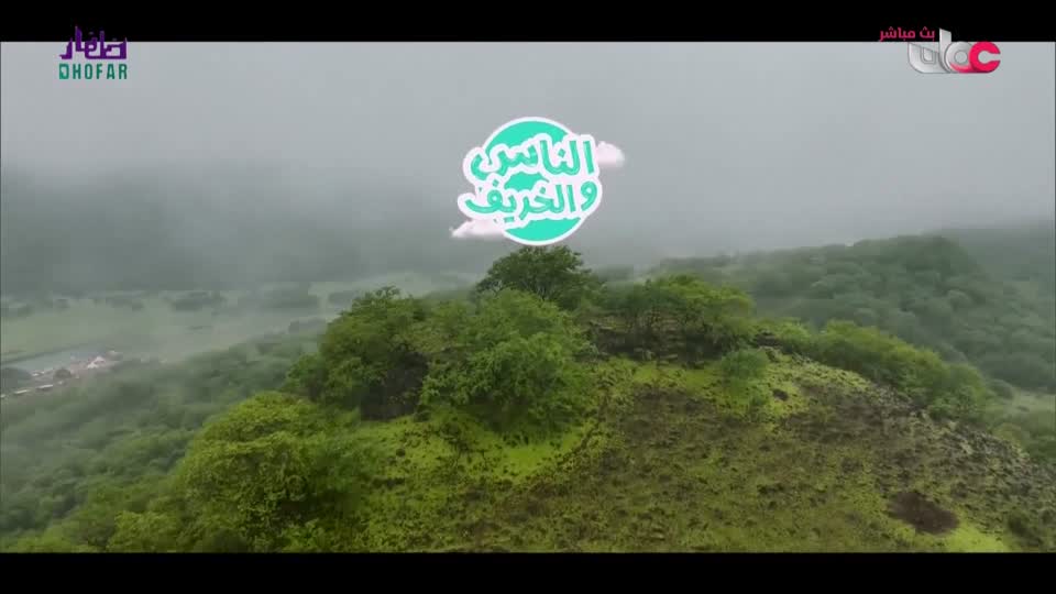 الناس والخريف - الأحد 31 أغسطس 2025م