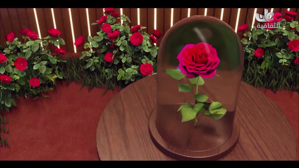 Show details-أبجديات ثقافية عمانية - وردة السلطان قابوس - الحلقة 6