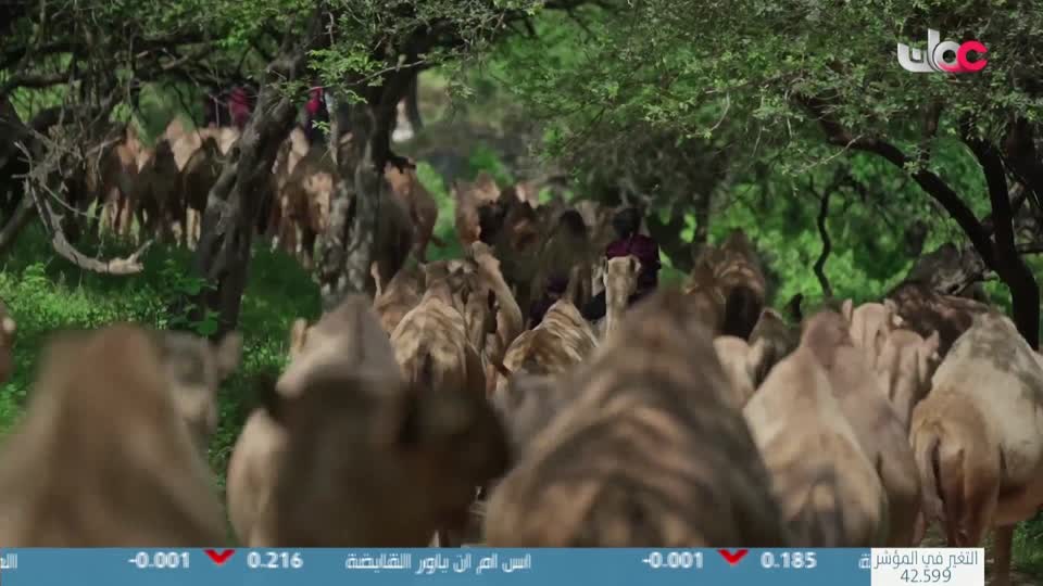 Show details-الصرب - الحلقة 3