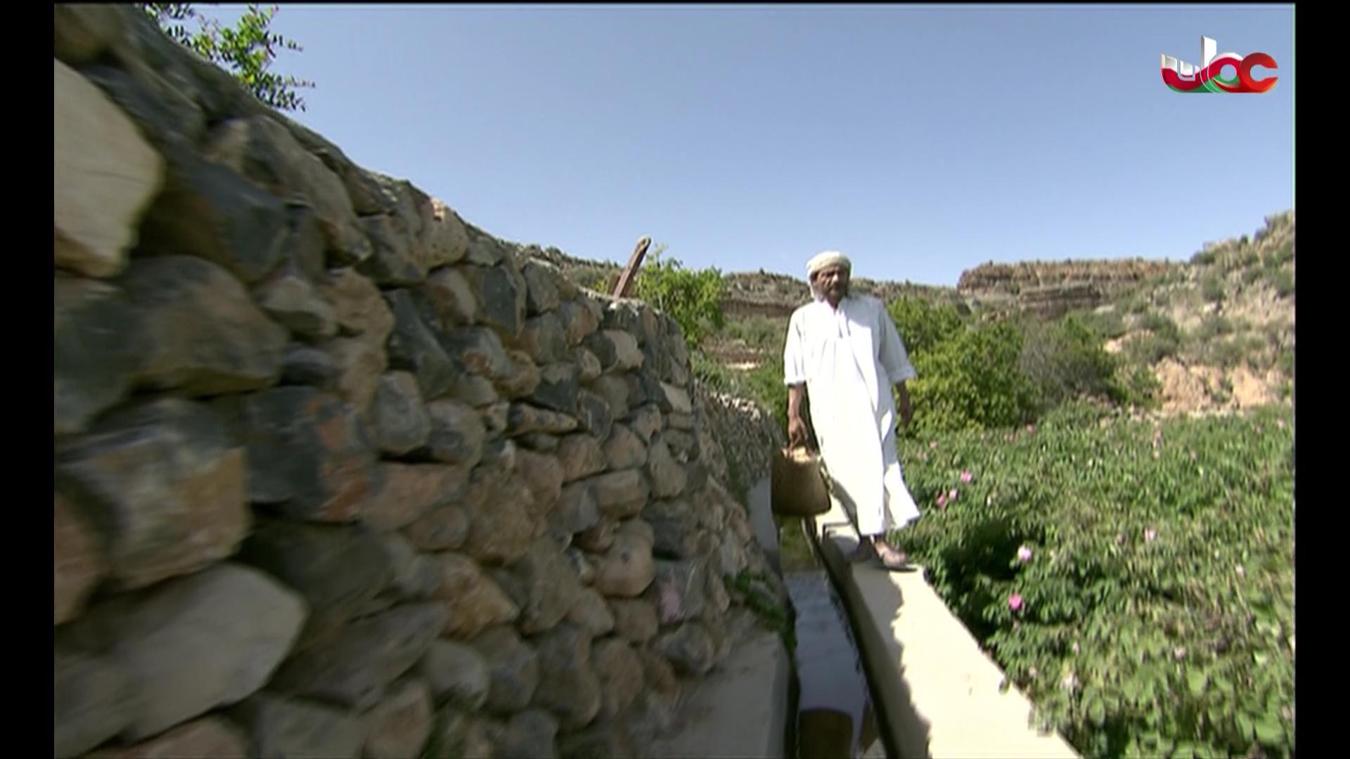 المسلسل المحلي - زينب - الحلقة 28