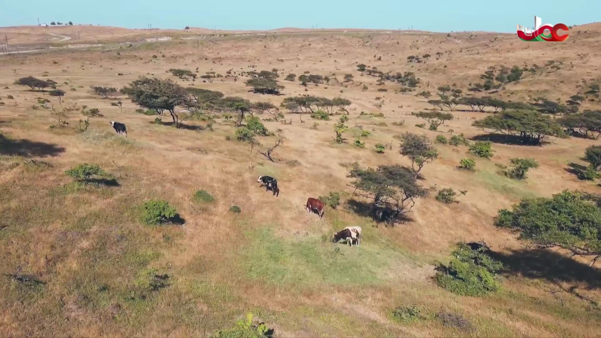 صلاة الجمعة المباركة 2025 - الحلقة 45