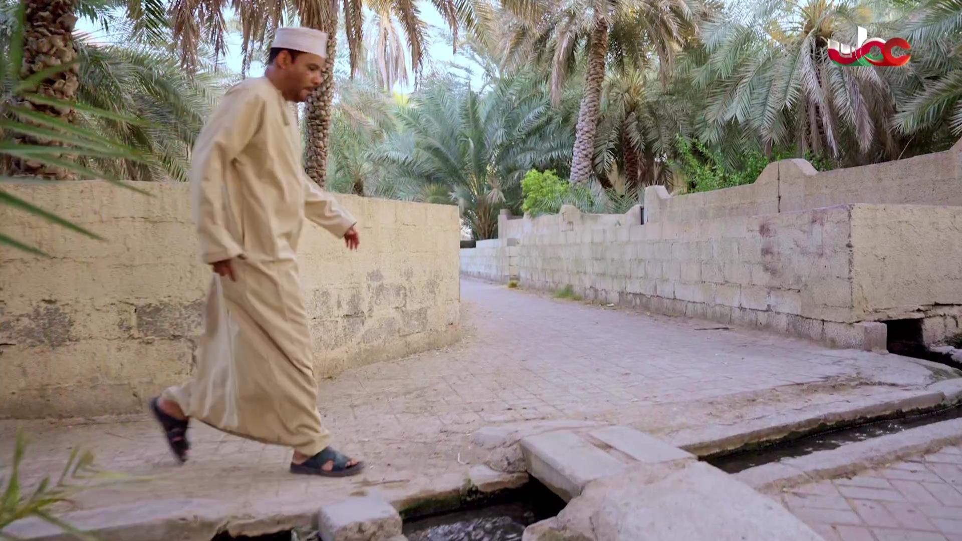 برنامج/سؤال أهل الذكر