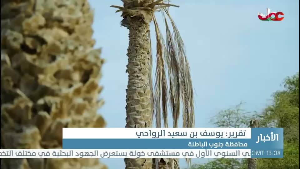 أخبار الخامسة - الخميس 13 نوفمبر 2025م