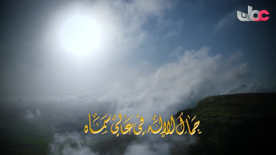 بلاد النقاء - المجموعة