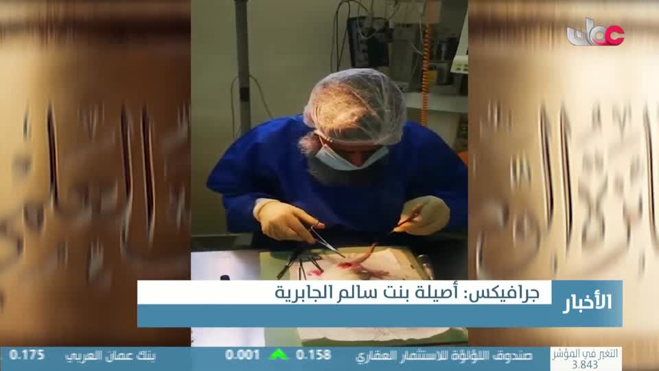 أخبار الحادية عشرة - الاثنين 8 ديسمبر 2025م