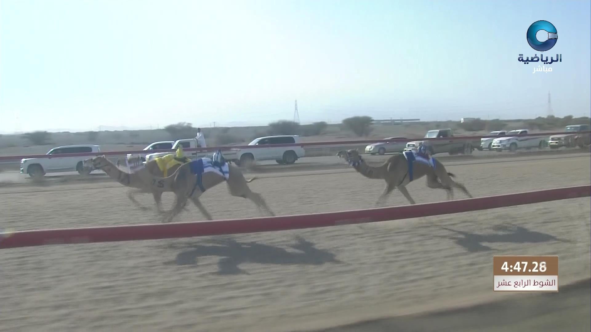 فعاليات الطاولة