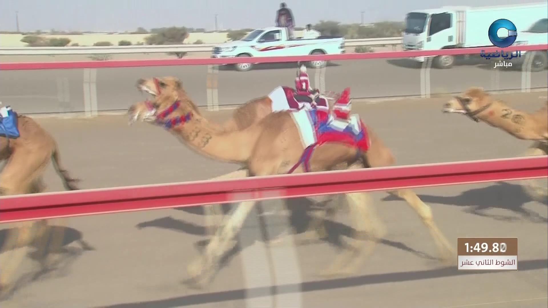 اليابان × بلغاريا - دوري الامم لكرة الطائرة 2020