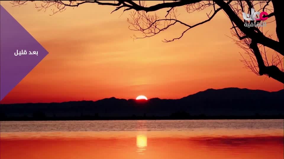 أخبار الثقافة - الأحد 21 ديسمبر 2025م