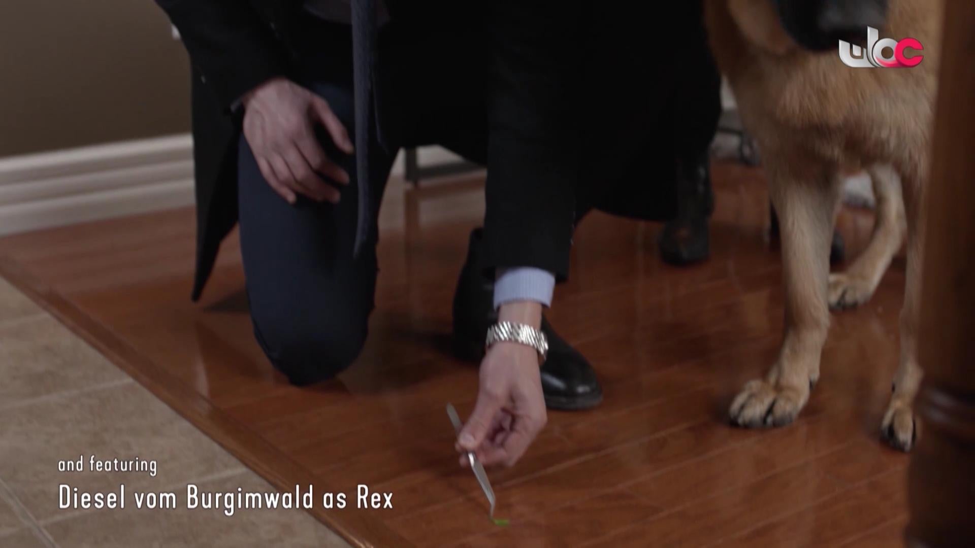 HUDSON AND REX - المسلسل الاجنبي - الحلقة 24