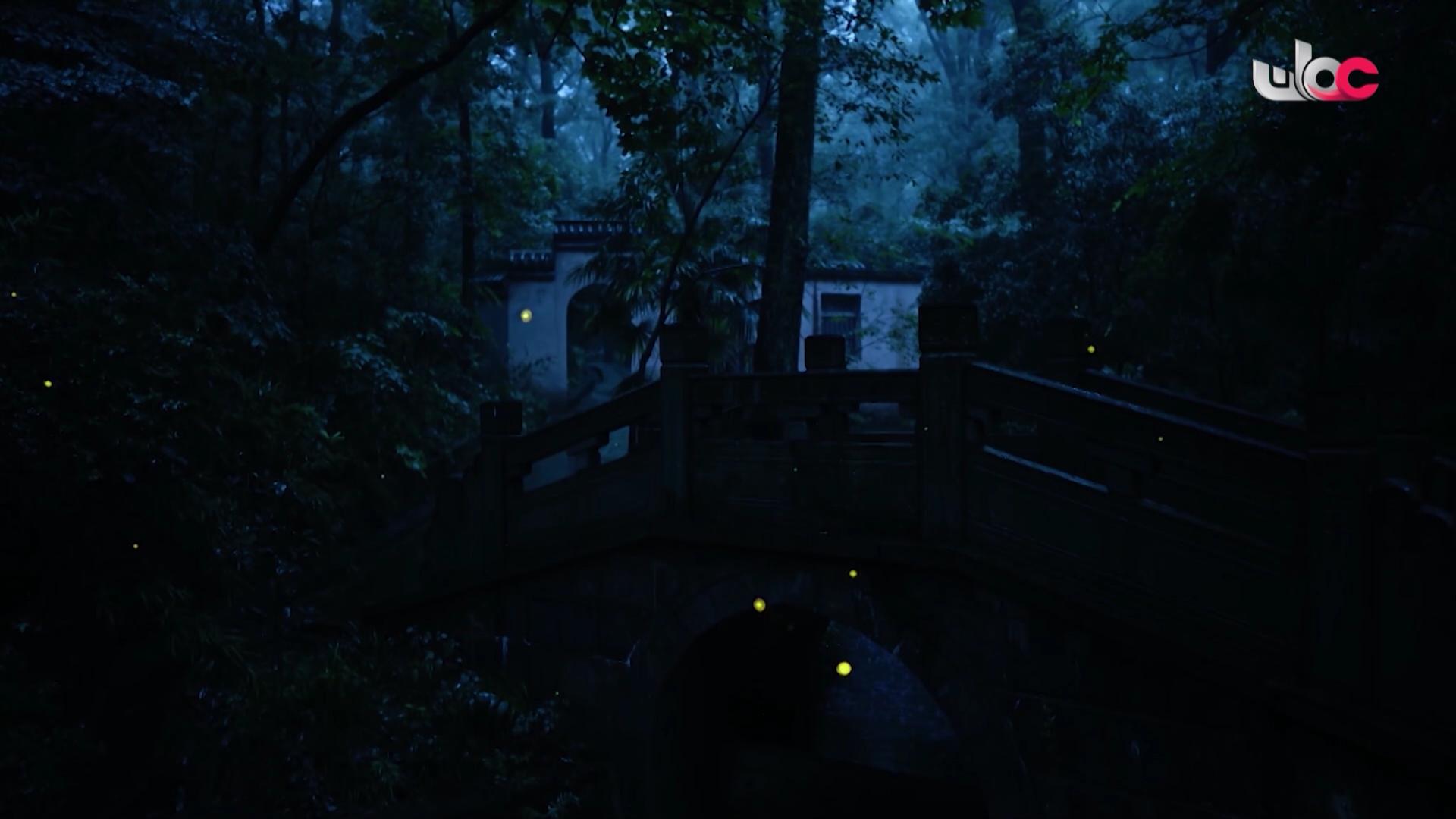 برنامج - تقنيات حيوانية - الحلقة 18