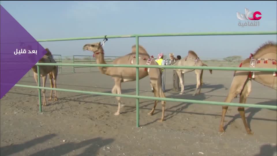 الأخبار الثقافية - الأحد 8 فبراير 2026م