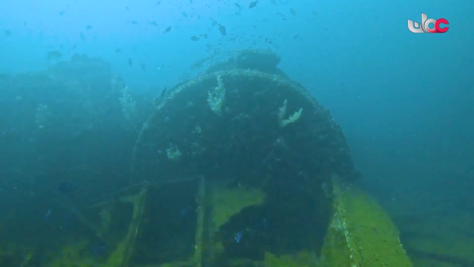 Show details-سحر الأعماق - الجمعة 13 فبراير 2026م