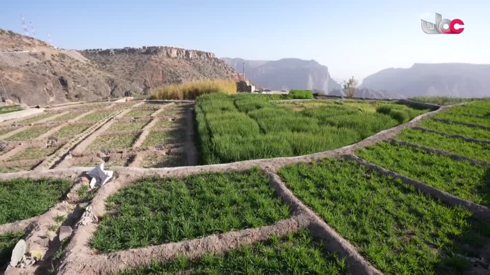 مناشدة - الحلقة 7