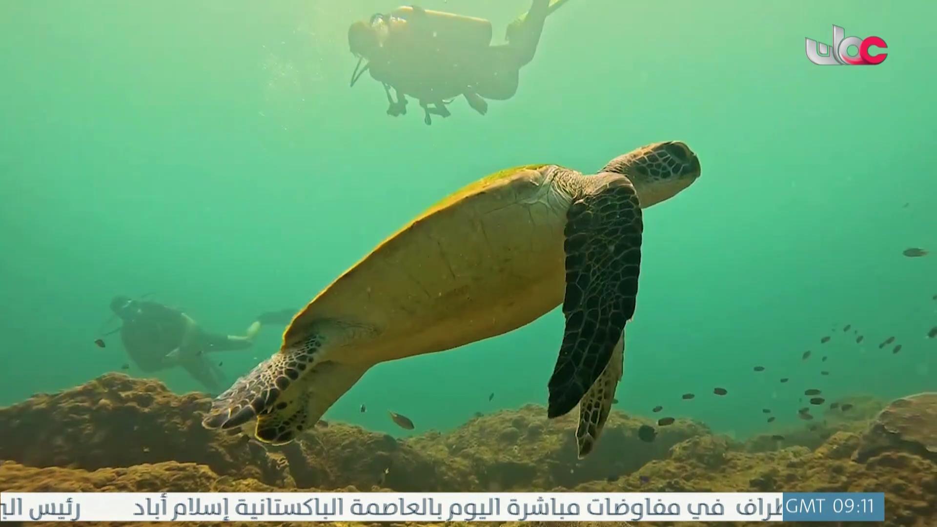 صلاة الجمعة المباركة 2026 - الحلقة 15