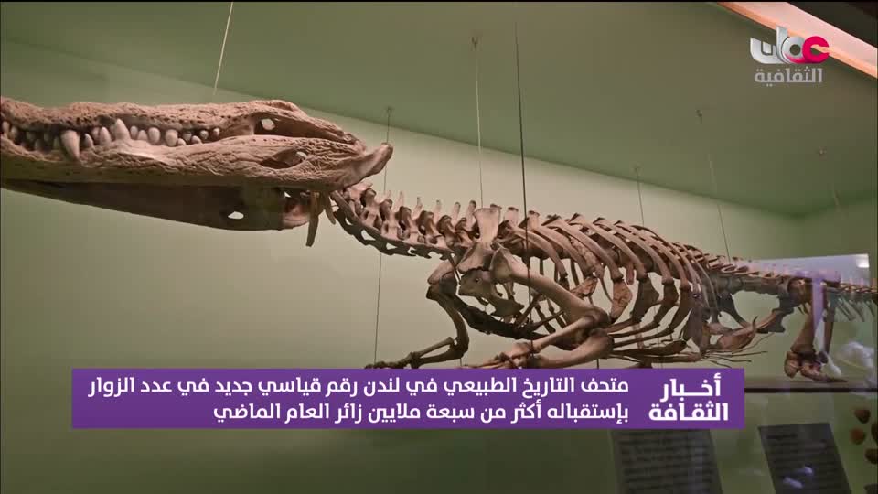 أخبار الثقافة - الأحد 14 يونيو 2026م