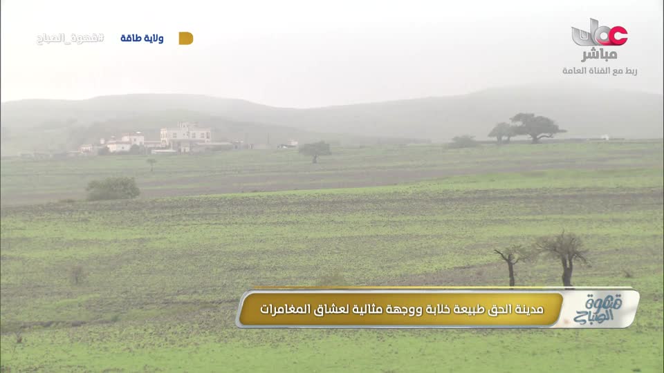 Show details-قهوة الصباح - الأحد 12 يوليو 2026م