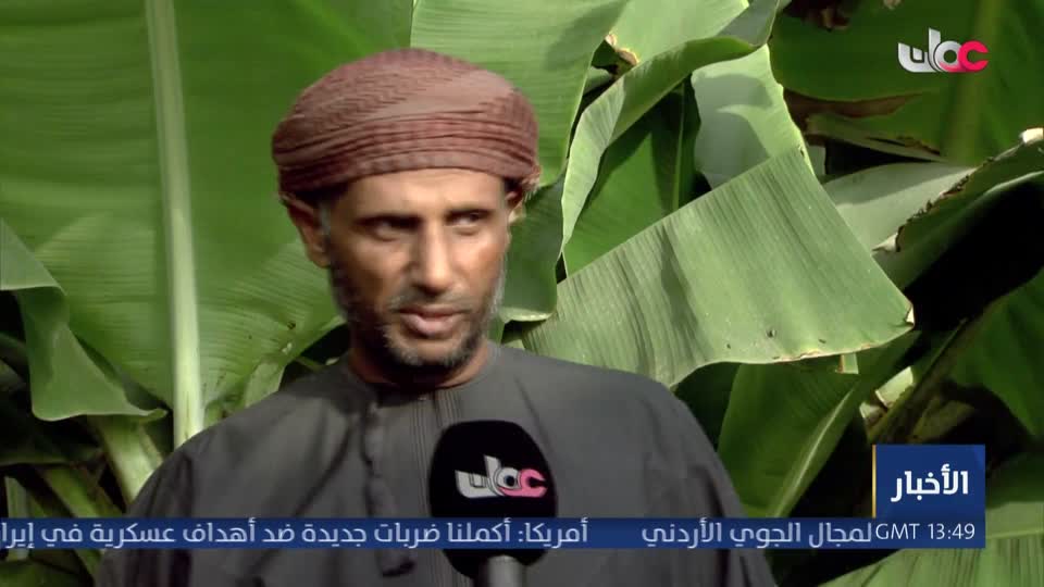 الفاكهة الاستوائية في محافظة ظفار.. ثروة زراعية ميزت محافظة ظفار - الثلاثاء 14 يوليو 2026م