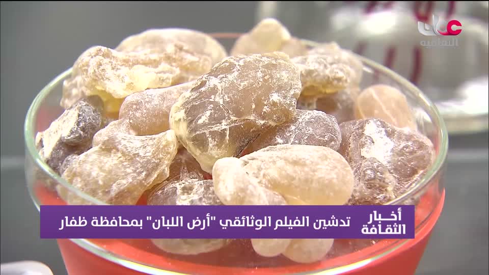 خبار الثقافة - الإثنين 24 أغسطس 2026م