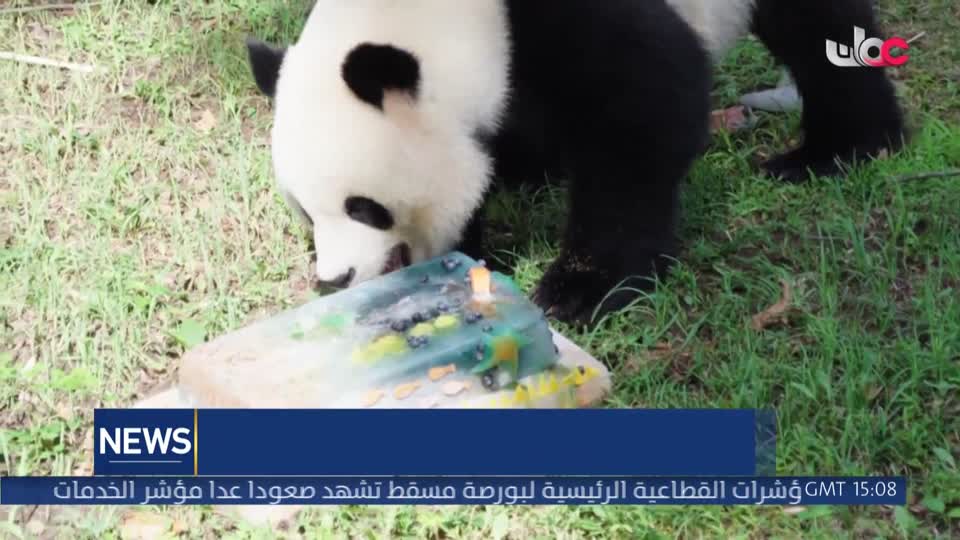  الأخبار باللغة الإنجليزية - الخميس 27 أغسطس 2026م