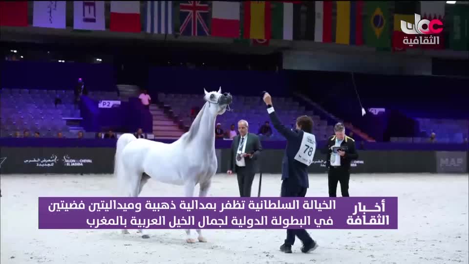 أخبار الثقافة - الجمعة 16 أكتوبر 2026م