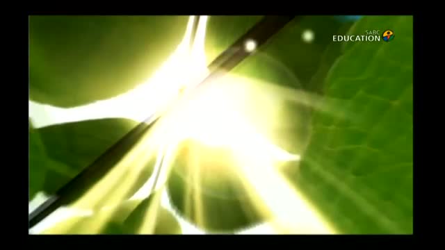 Living Land S10