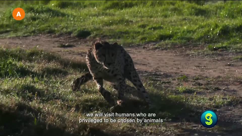 World's Deadliest Weather S2, The